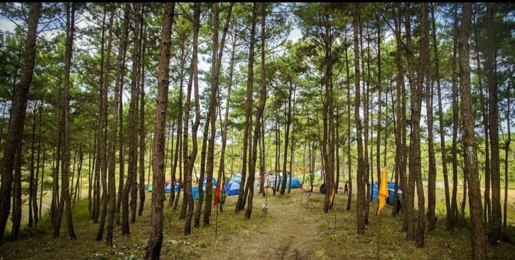 Camping by Animesh Das