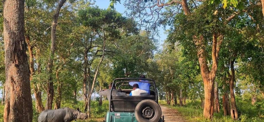 Safari in Kaziranga National Park by Kaziranga Jeep Safari