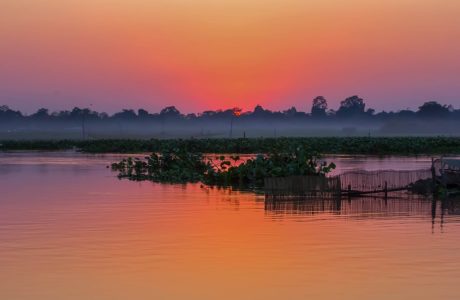 Maguri Beel by Tridip Dutta Photography