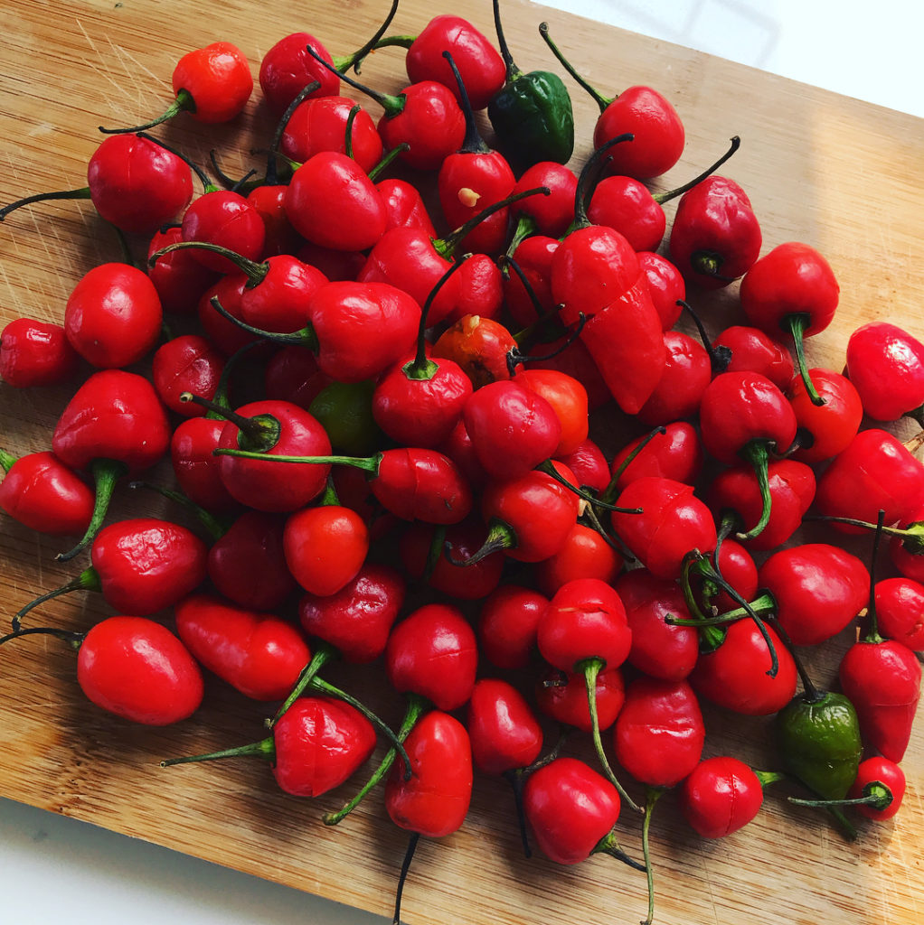 Image source: Foodspoomns.mani