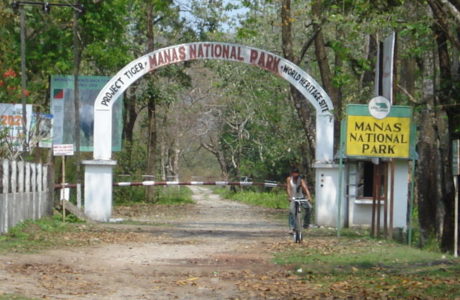 Manas National Park and Tiger Reserve