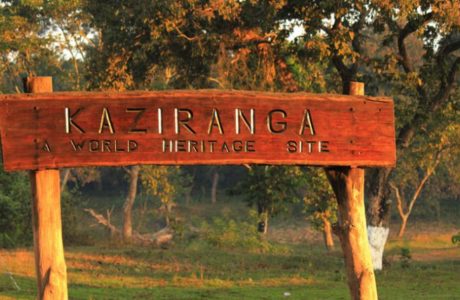 kaziranga national park