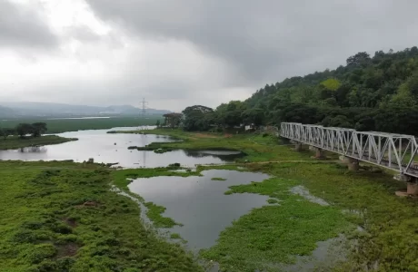 picnic spot deepor beel