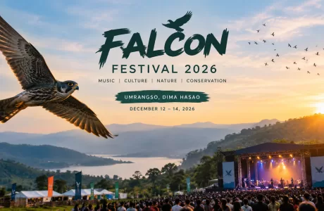 Falcon Festival 2026_ Music, Nature and Conservation